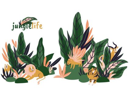 Sada samolepek na zeď Jungle Life 70 x 120 cm