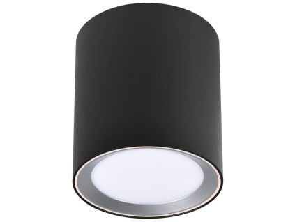 Černé kovové stropní LED světlo Landon Smart 12,5 cm