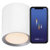 Bílé kovové stropní LED světlo Landon Smart 12,5 cm