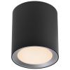 Černé kovové stropní LED světlo Landon Smart 12,5 cm