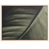 Foto-obraz kave home Foliae 30 x 40 cm
